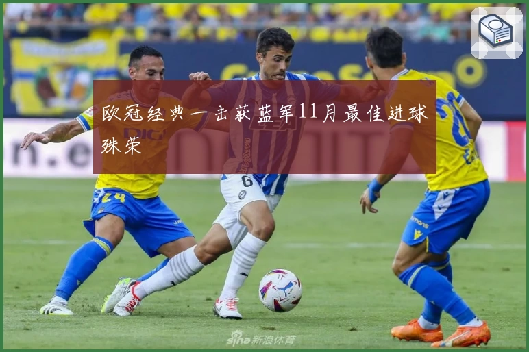 欧冠经典一击获蓝军11月最佳进球殊荣