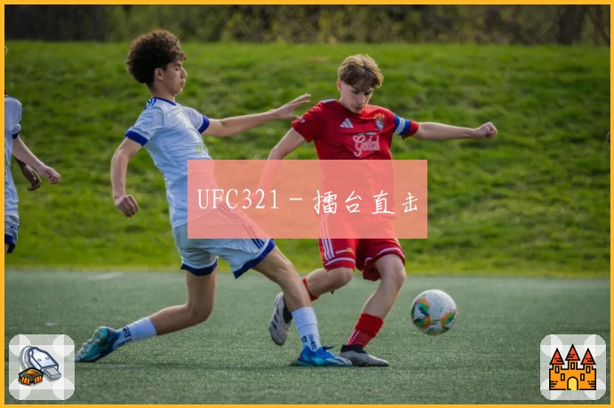 UFC321 - 擂台直击